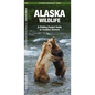 Alaska Wildlife: A Folding Pocket Guide to Familiar Animals