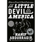A Little Devil in America: Notes in Praise of Black Performance - Hardcover