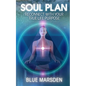 Soul Plan: Reconnect with Your True Life Purpose - Paperback