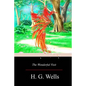 The Wonderful Visit - Paperback