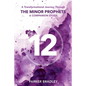 The Twelve: A Transformational Journey Through The Minor Prophets A Companion Study - Paperback