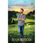 Chokecherry Valley Comfort - Paperback