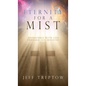 Eternity for a Mist: Adventures with God through Jail ministry - Hardcover