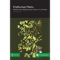 Posthuman Plants: Rethinking the Vegetal Through Culture, Art, and Poetry - Paperback