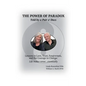The Power of Paradox Told by a Pair o' Docs - Paperback
