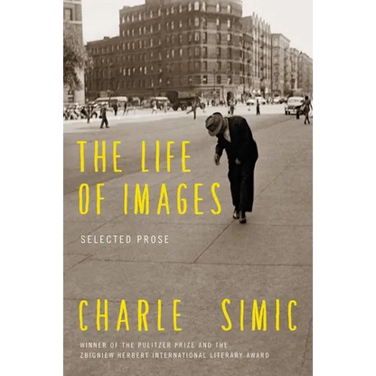 The Life of Images: Selected Prose - Paperback