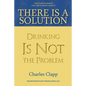There is a Solution: Drinking Is Not the Problem - Paperback