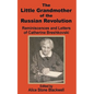 The Little Grandmother of the Russian Revolution: Reminiscences and Letters of Catherine Breshkovsky - Paperback