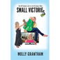 Small Victories: The Off-Camera Life of an On-Camera Mom - Paperback