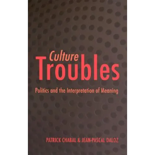 Culture Troubles: Politics and the Interpretation of Meaning - Paperback