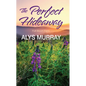 The Perfect Hideaway - Library Binding