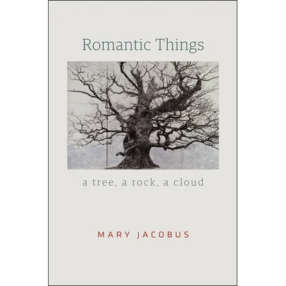 Romantic Things: A Tree, a Rock, a Cloud - Paperback