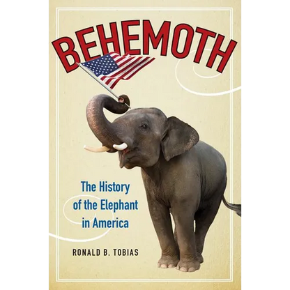 Behemoth PB - Paperback