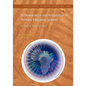Differentiation and Articulation in Tertiary Education Systems: A Study of Twelve Countries Volume 145 - Paperback
