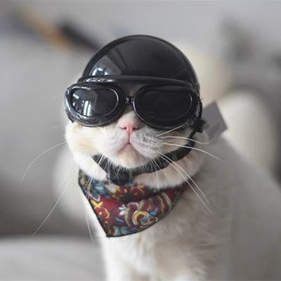 Helmet for Fur Baby🐱
