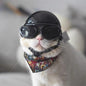 Helmet for Fur Baby🐱