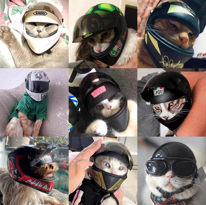 Helmet for Fur Baby🐱
