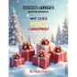 Why Does God Like Christmas? - Paperback