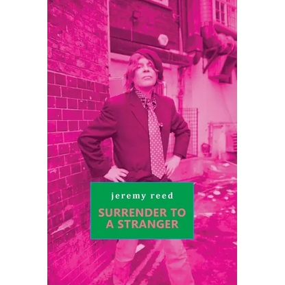 Surrender to a Stranger - Paperback