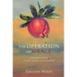 The Operation of Grace: Further Essays on Art, Faith, and Mystery - Hardcover