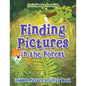 Finding Pictures in the Forest: Hidden Picture Activity Book - Paperback