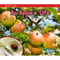 An Apple's Life - Paperback