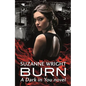 Burn: Enter an Addictive World of Sizzlingly Hot Paranormal Romance . . . - Paperback