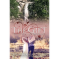 The Gift - The Story of Annie Laurie: Caselli Family Series Book 4 - Paperback