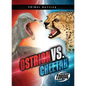 Ostrich vs. Cheetah - Paperback