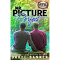 Mr. Picture Perfect - Paperback
