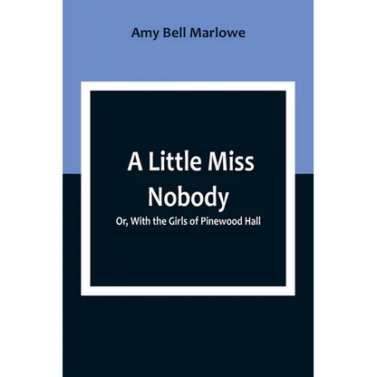 A Little Miss Nobody; Or, With the Girls of Pinewood Hall - Paperback