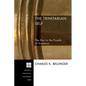 The Trinitarian Self - Paperback
