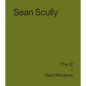 Sean Scully: The 12 / Dark Windows - Hardcover