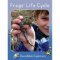 Frog's Life Cycle: Skills Set 4 - Paperback