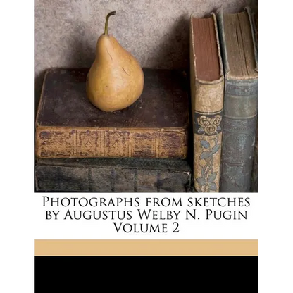 Photographs from Sketches by Augustus Welby N. Pugin Volume 2 - Paperback