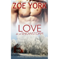 Love in a Snowstorm - Paperback