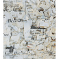 Mitch Epstein: Property Rights - Hardcover