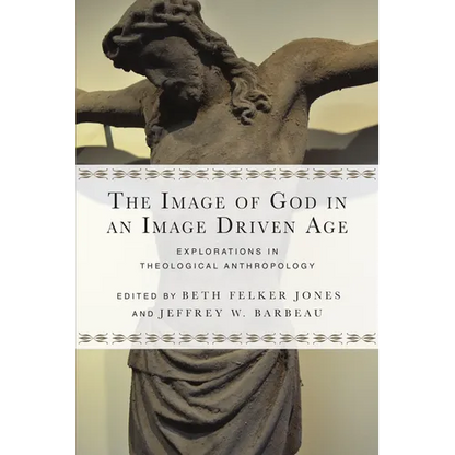 The Image of God in an Image Driven Age: Explorations in Theological Anthropology - Paperback