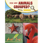 How Are Animals Grouped? - Hardcover