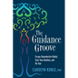 The Guidance Groove - Paperback