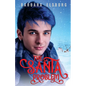 The Santa Problem - Paperback