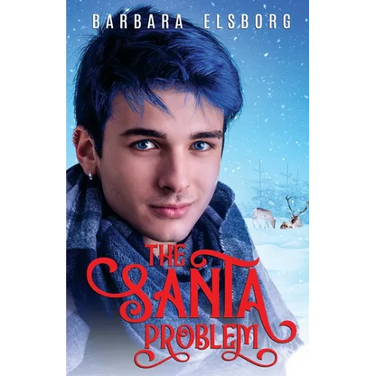 The Santa Problem - Paperback