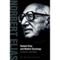 Norbert Elias and Modern Sociology: Knowledge, Interdependence, Power, Process - Paperback