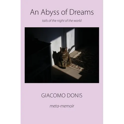 An Abyss of Dreams - Paperback