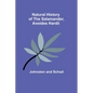 Natural History of the Salamander, Aneides hardii - Paperback