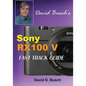 DAVID BUSCH'S Sony Cyber-shot DSC-RX100 V FAST TRACK GUIDE - Paperback
