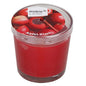 Rubin Licht Apple & Cinnamon Scented Candle - Long-Lasting Aromatherapy Home Decor Candle with 25 Hour Burn Time