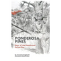 Ponderosa Pines: Days of the Deadwood Forest Fire - Paperback