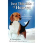 Just This Side of Heaven - Paperback