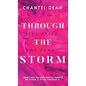 Through the Storm: The Price of Fame - Hardcover